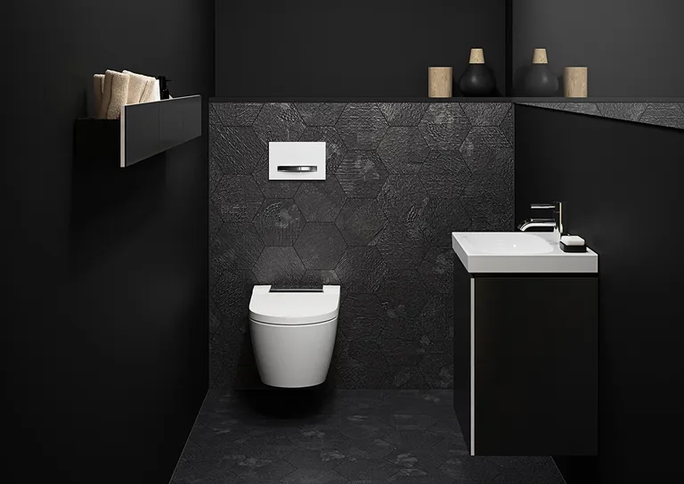 Geberit AquaClean Sela, vegghengt