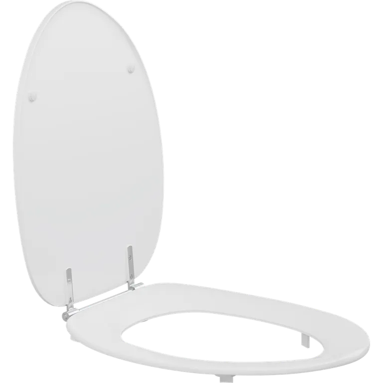 Dania toalettsete, institusjonsbeslag